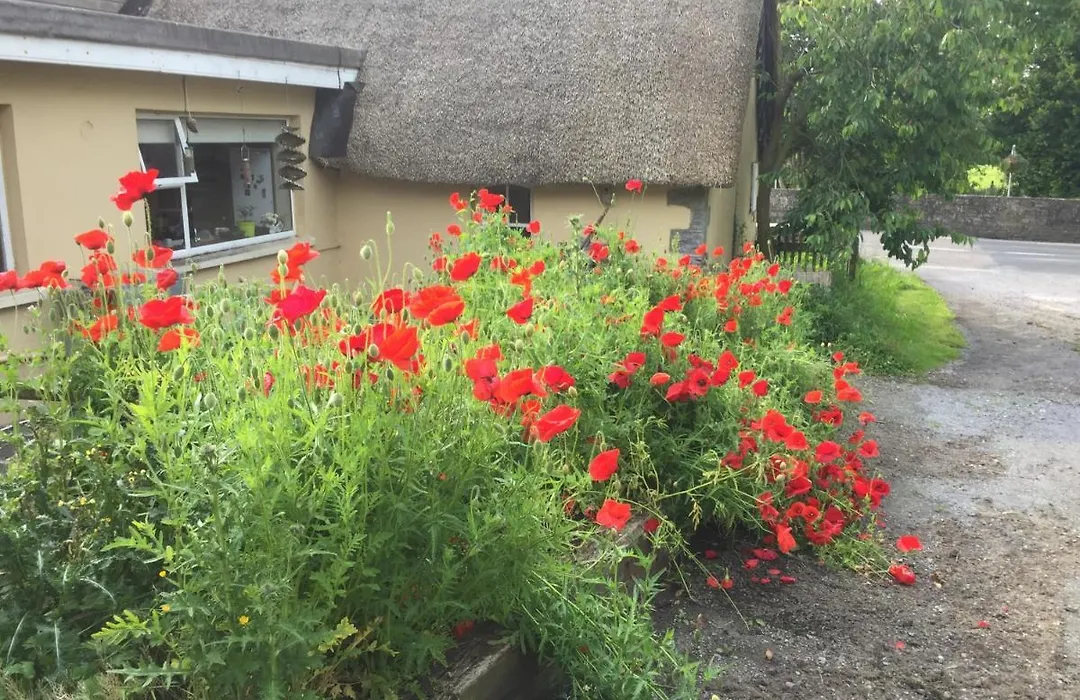 Bridge Cottage-1